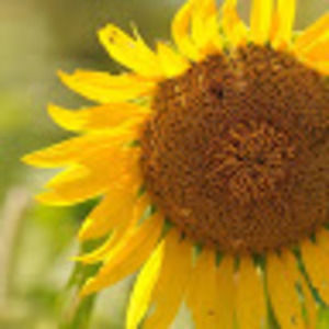 Meet your Posher, Mayme